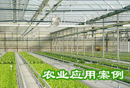 農(nóng)業(yè)應(yīng)用案例：水源熱泵機組助力恒溫大棚種植，更低運行成本