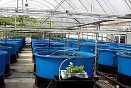 水產(chǎn)養(yǎng)殖用水源熱泵，恒溫冷暖兩用，耗電低